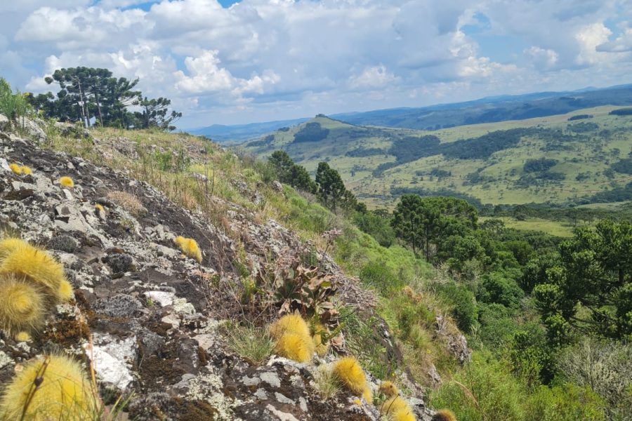 IMG-20240305-WA0116